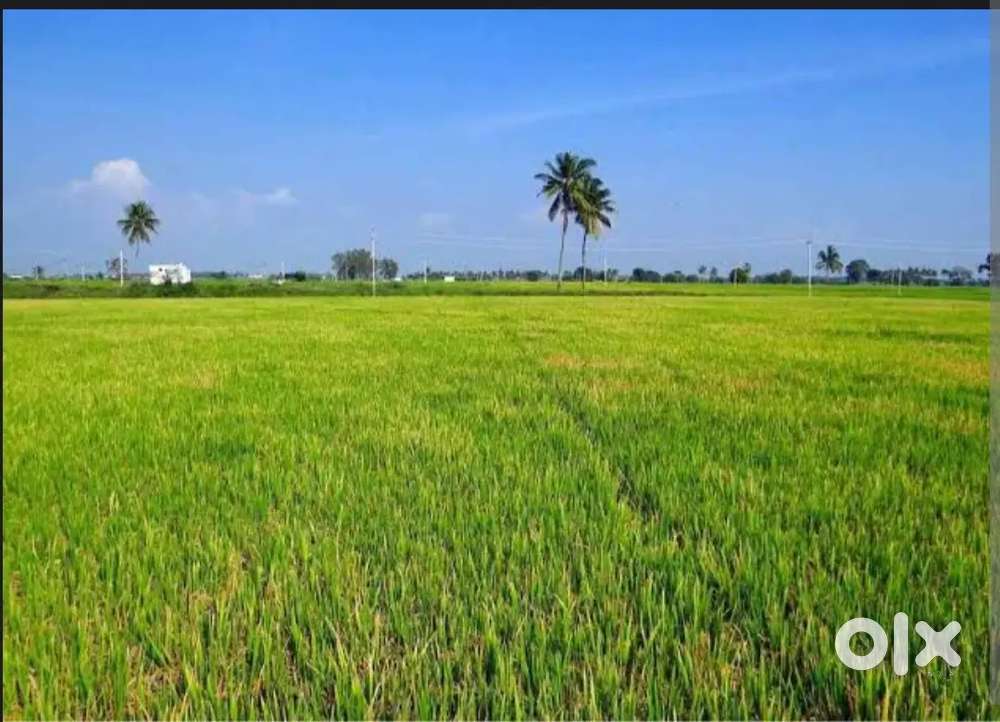 200 MARLA LAND AVAILABLE FORE SALE Lands & Plots 1753595884