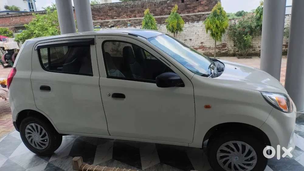 Alto 800 2019