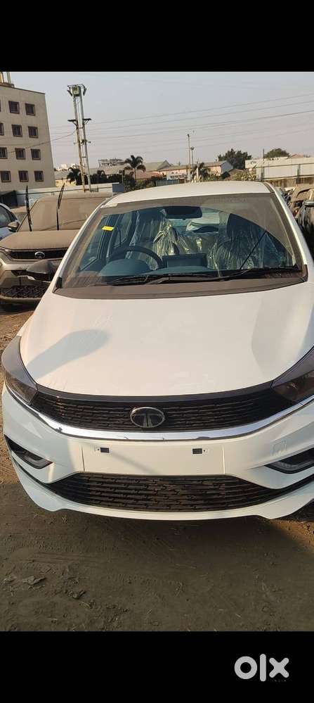New 4 Months Old Tiago Want To Sell