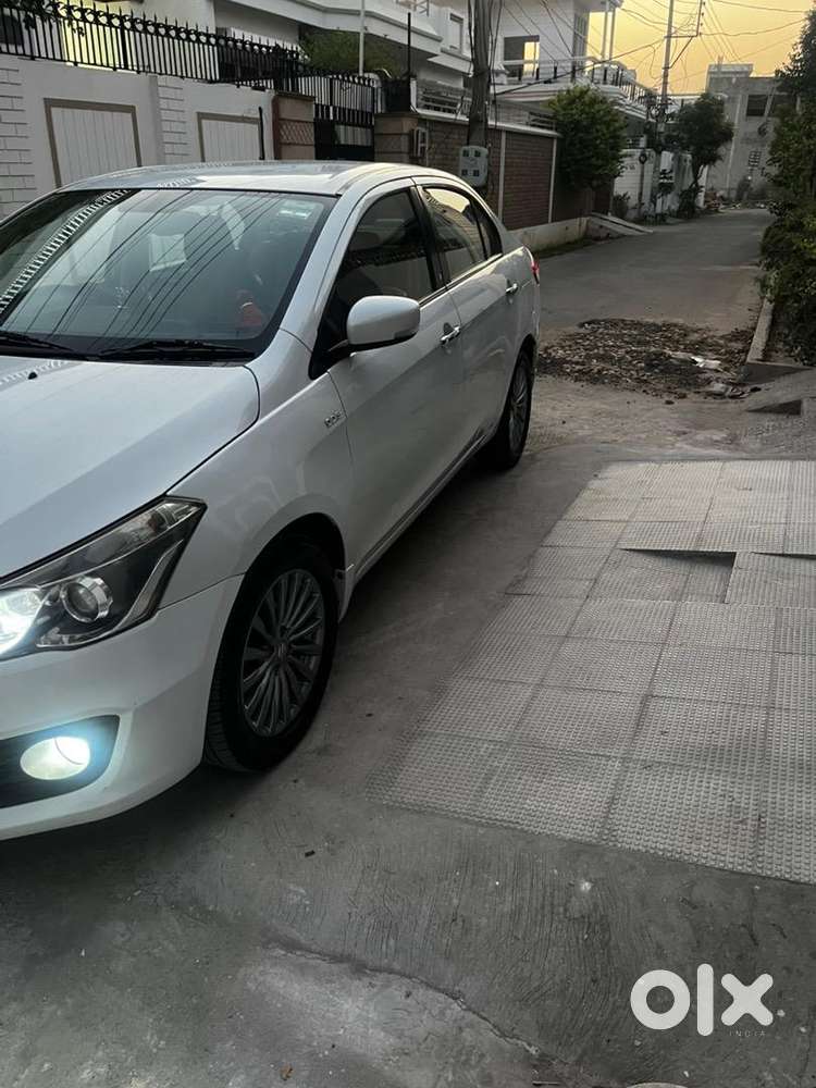 Maruti Suzuki Ciaz White Top Alpha In Brand New Conditio