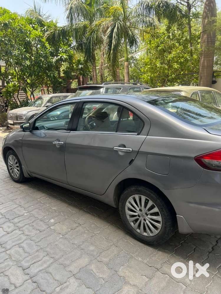 Maruti Suzuki Diesel 2017