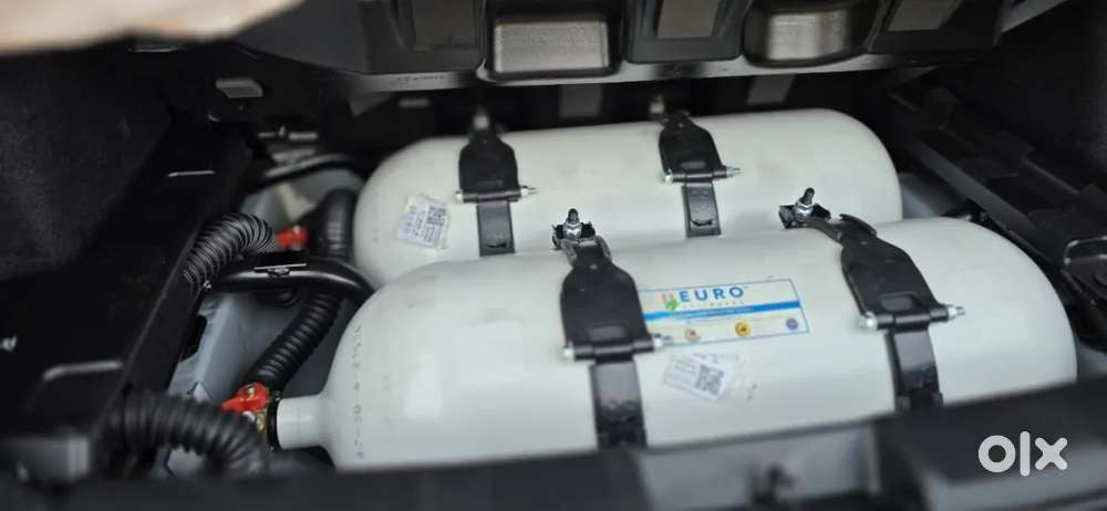 Tata Nexon, 2025, Cng & Hybrids