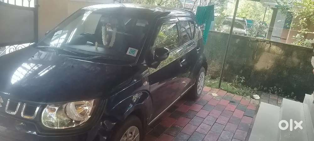 Maruti Suzuki Ignis 2024 Petrol 7600 Km Driven
