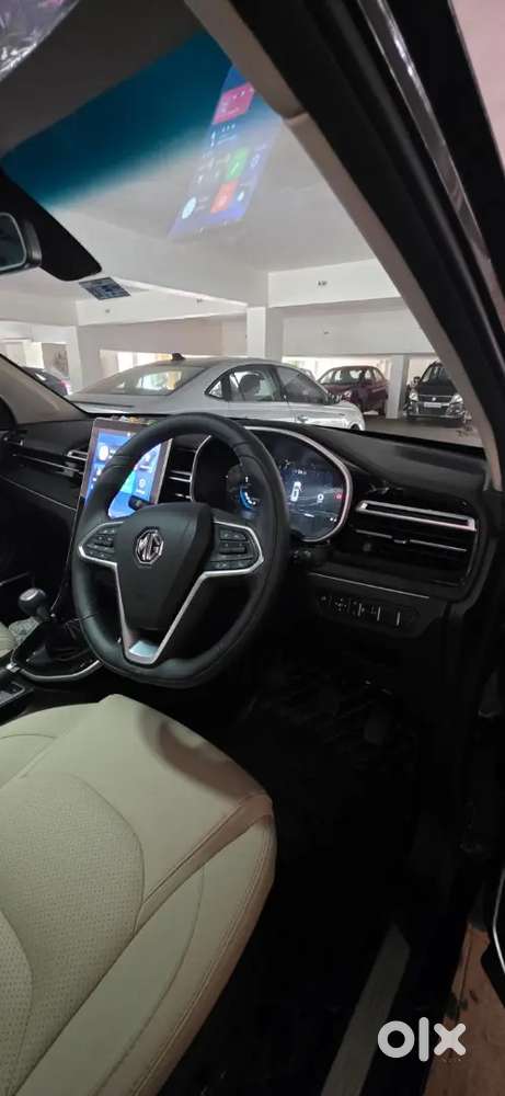 Mg Hector 2025 Petrol 4000 Km Driven