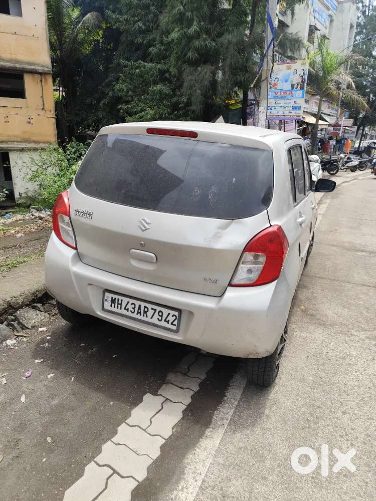 Mint Condition Celerio