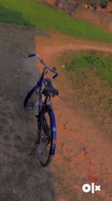 Olx mtb sales dirt street