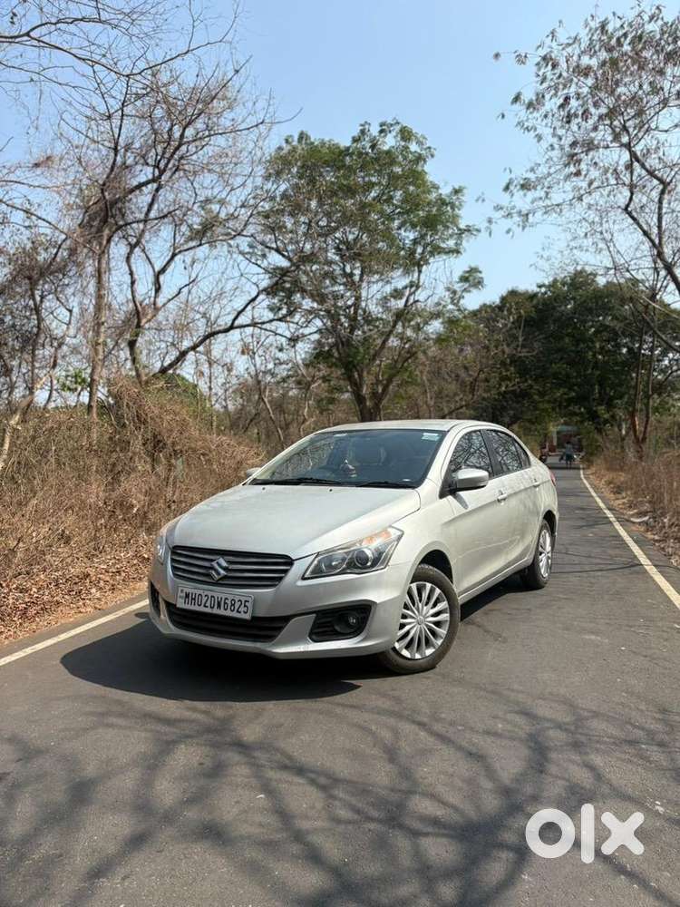 Maruti Suzuki Car 2015