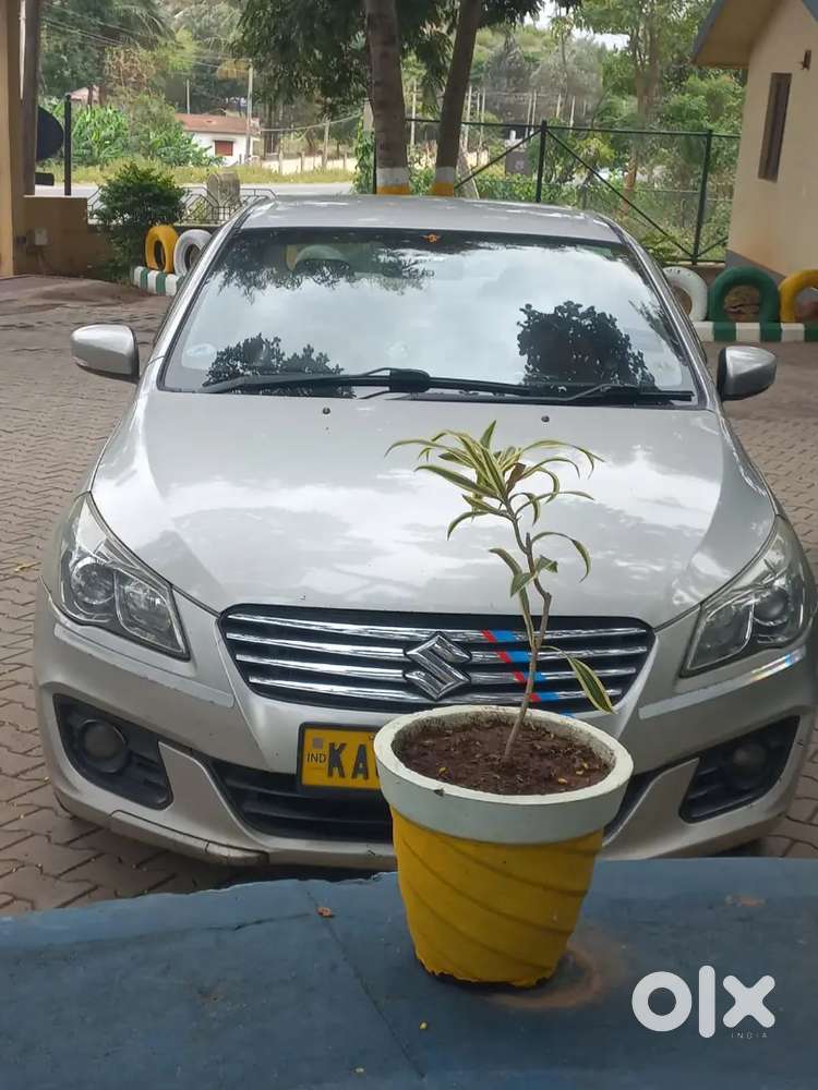 Maruti Suzuki Ciaz Vdi 2015