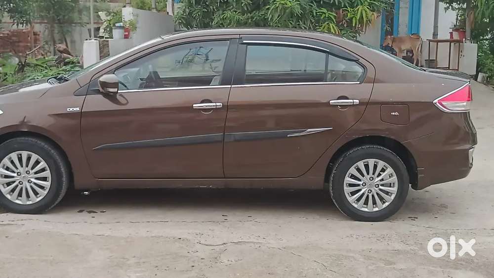 Maruti Suzuki Ciaz 2019 Diesel