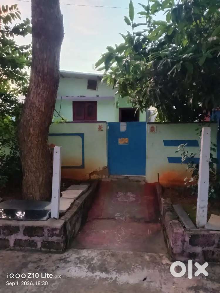 Kitchen and 1 room for rent