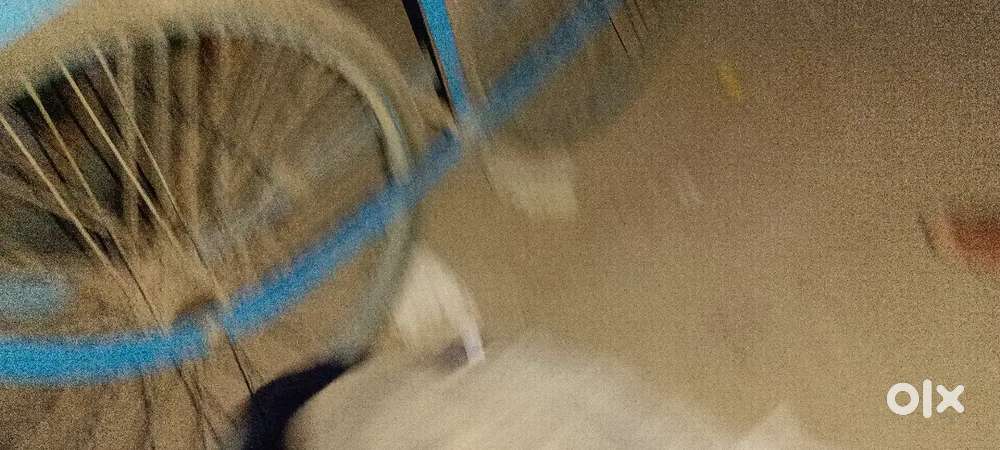 Lari 4 Wheel