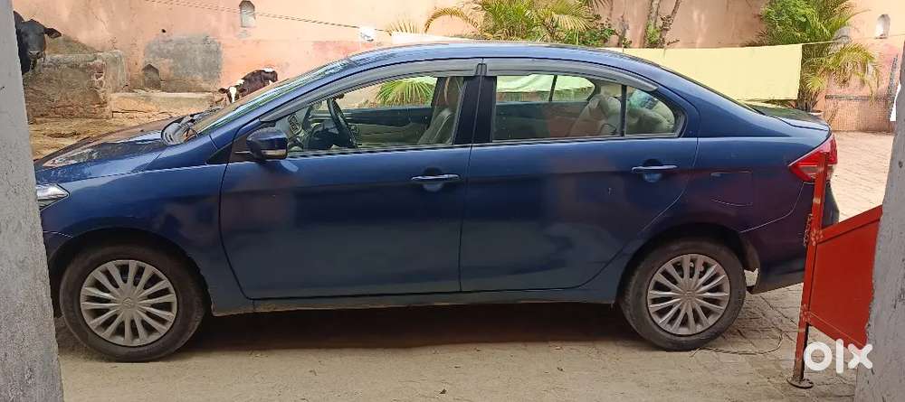 Maruti Suzuki Ciaz 2018 Cng & Hybrids 115000 Km Driven