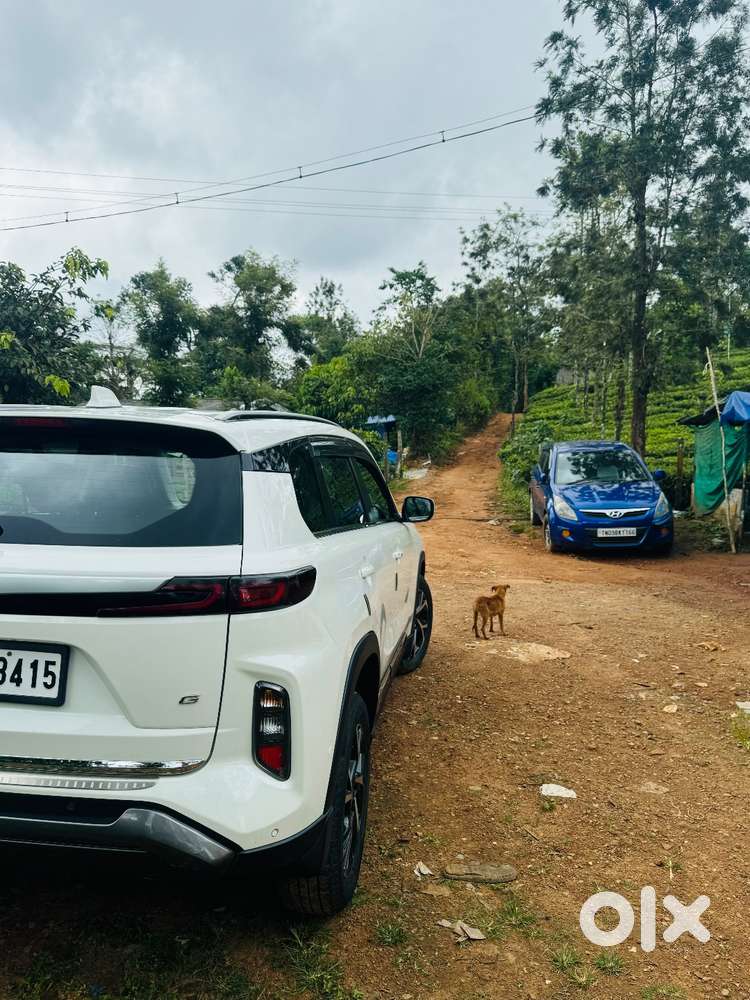 Toyota Urban Cruiser Hyryder Cng With Petrol