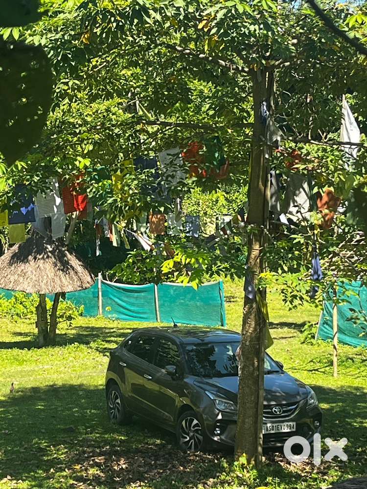 Toyota Glanza 2021 Petrol Good Condition