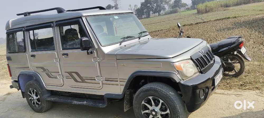 Bolero Silver Colour
