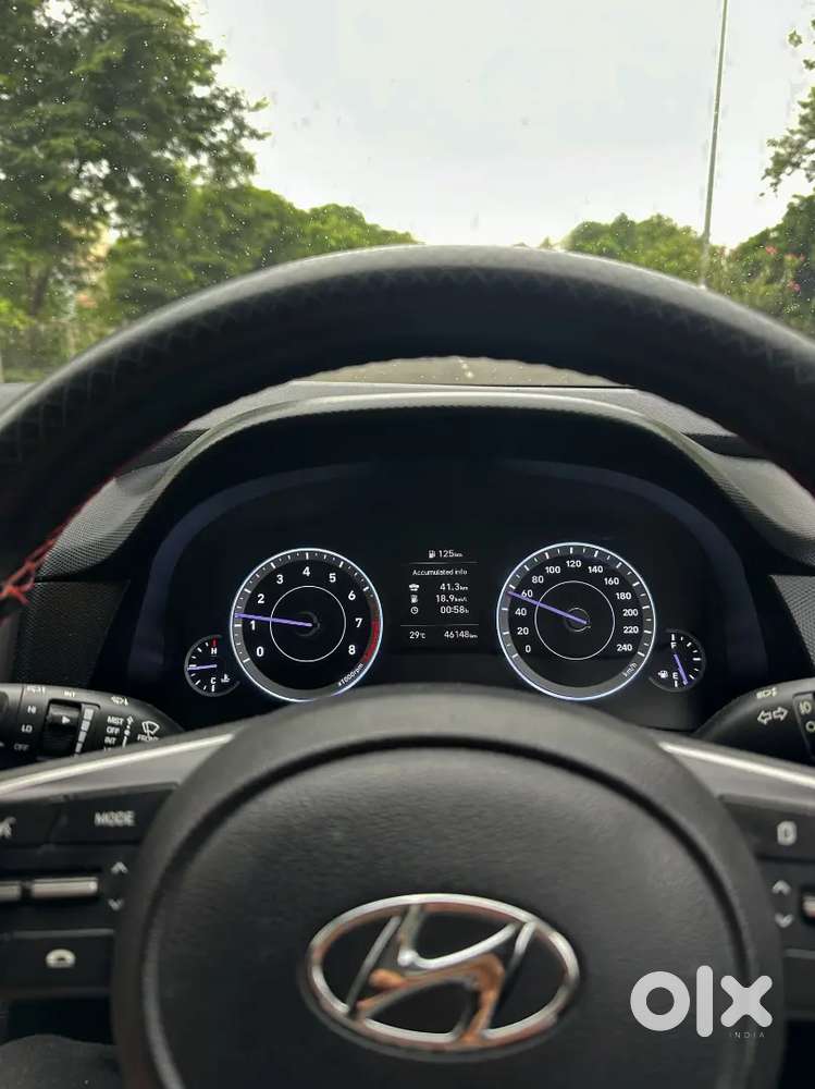 Knight Edition 2023 Pure Petrol