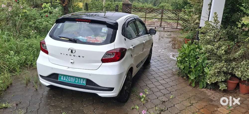 2 Years 4 Months Old