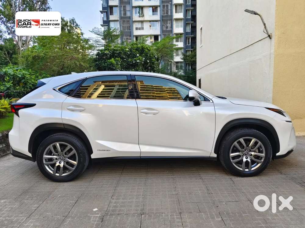Lexus Nx, 2020, Petrol