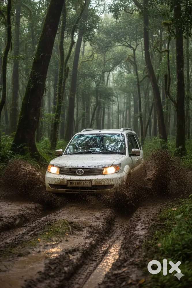 Tata Safari Storme 2013 Diesel