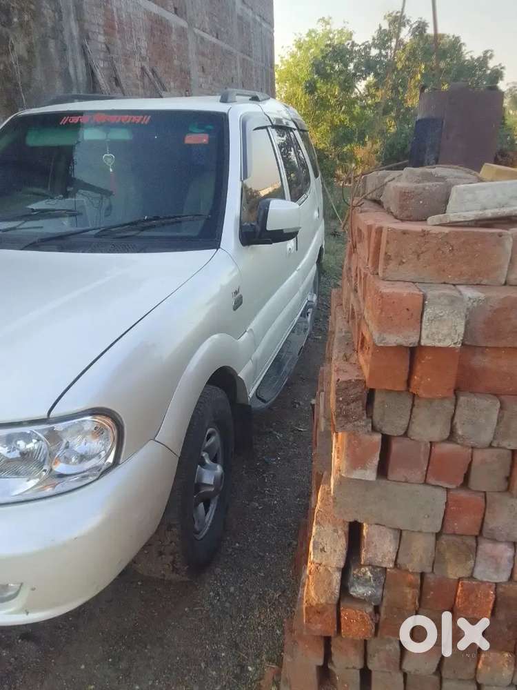 Tata Safari Decor