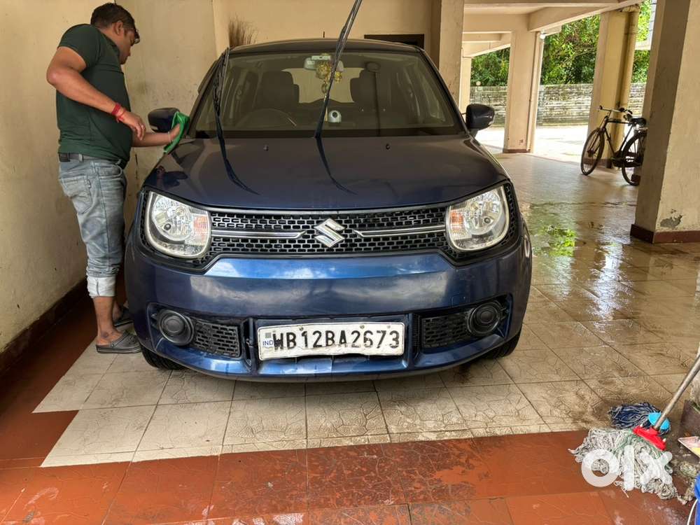 Maruti Suzuki Ignis 2019 Car