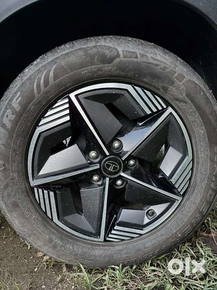 Tata Nexon Icng 2025
