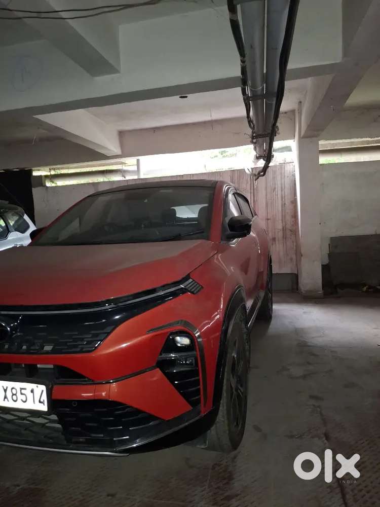 Tata Curvv 2025 Petrol 11000 Km Driven