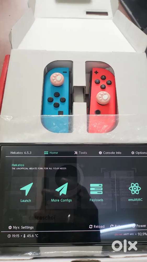 Picofly Nintendo switch oled