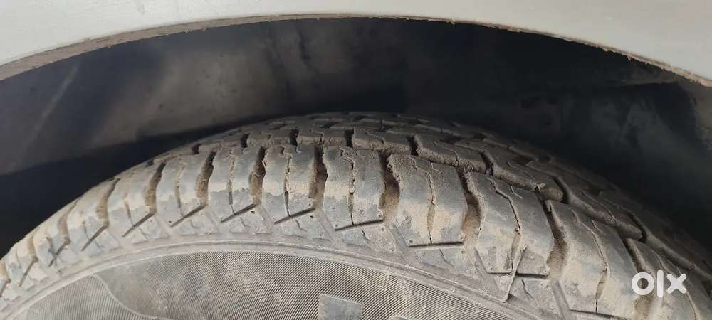 Vild 2031 5year Badha Hua Hai