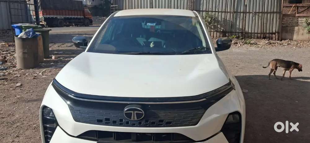 Tata Curvv 2025 Petrol 9500 Km Driven