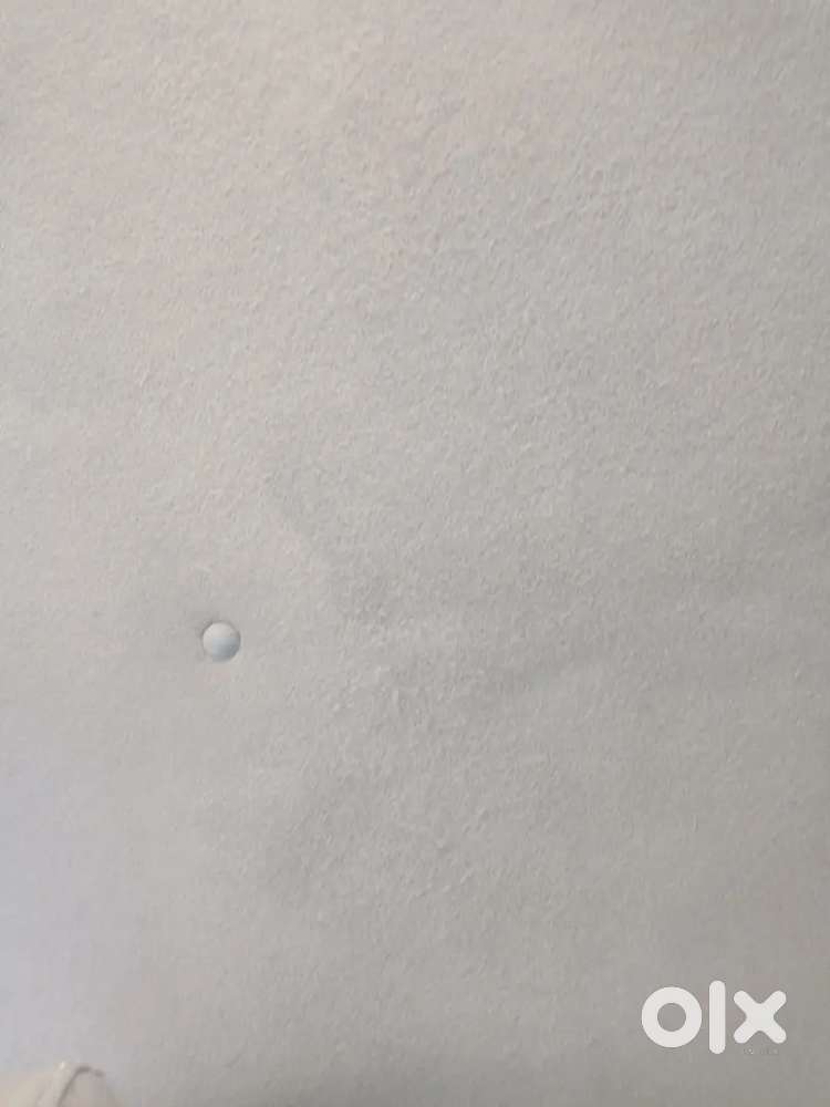 Maruti Suzuki Wagon R