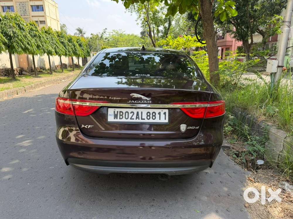 Jaguar In Excellent Condition