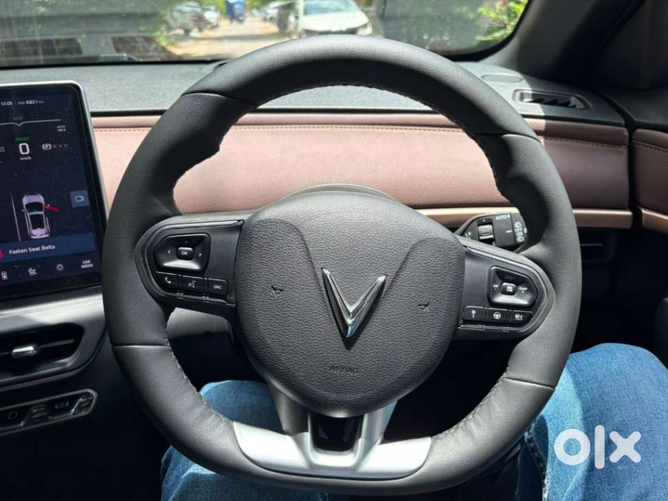 Vinfast Vf 6 Earth, 2025, Electric