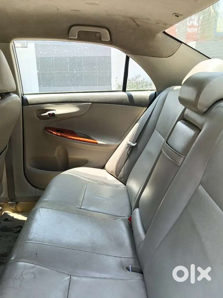 Looking For A Car