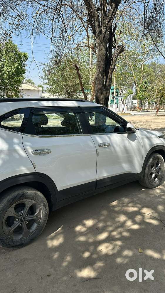 Kia Seltos Petrol 35000 Km Driven