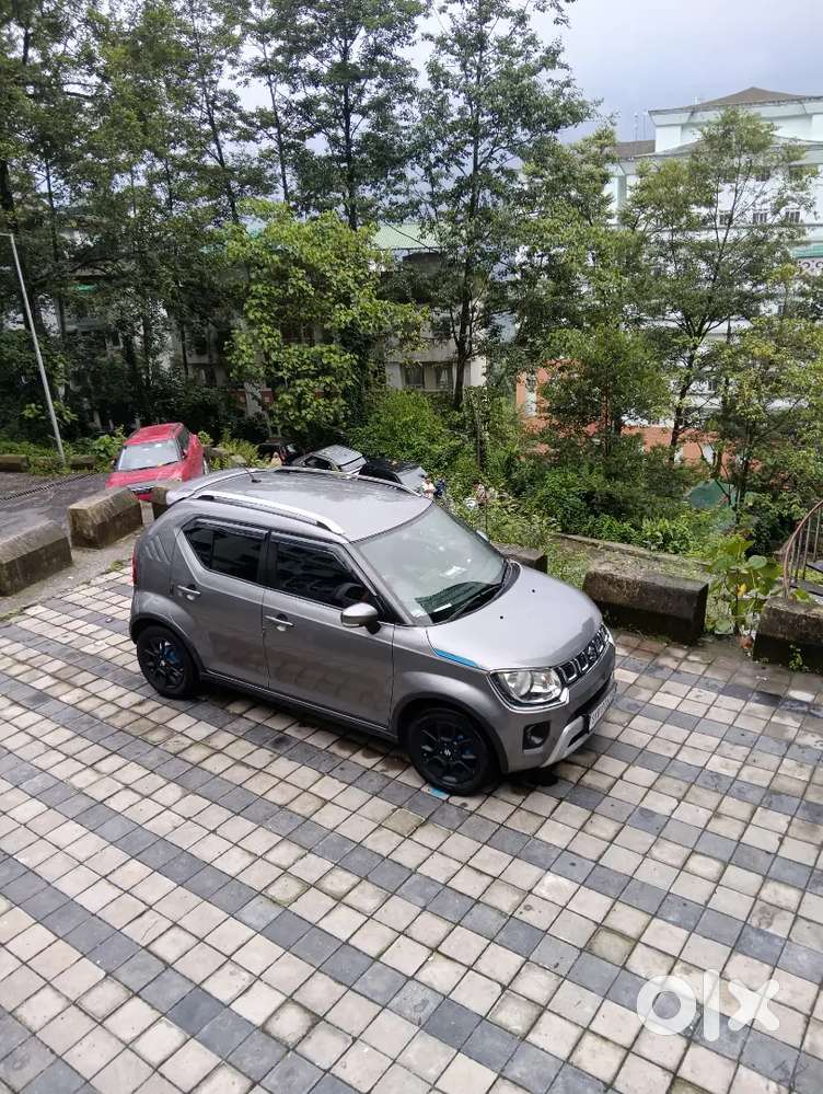 Maruti Suzuki Ignis Petrol 2020