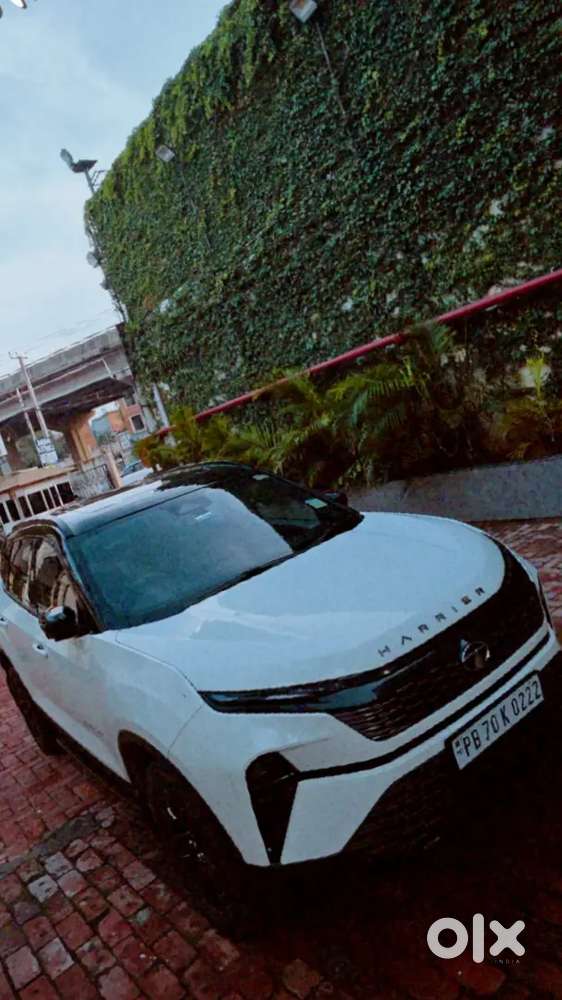 Tata Harrier Automatic 2024 Diesel 35000 Km Driven