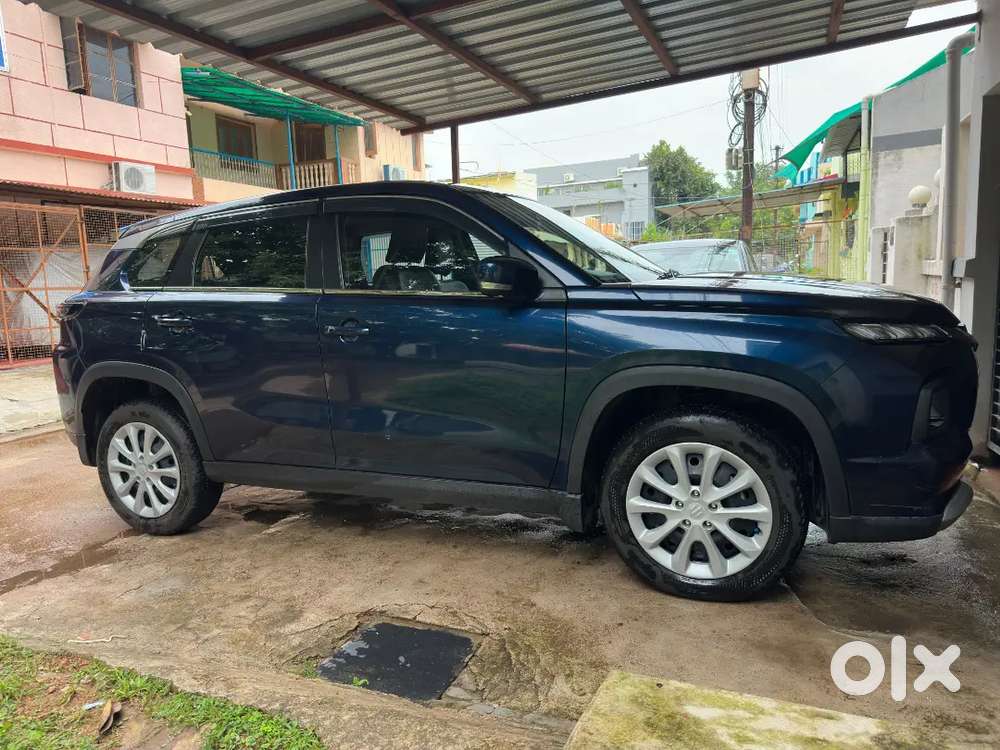 Maruti Suzuki Grand Vitara E20 Fuel