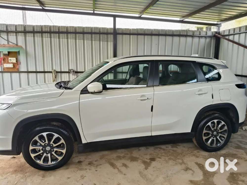 Maruti Suzuki Grand Vitara 2024 Petrol 25000 Km Driven