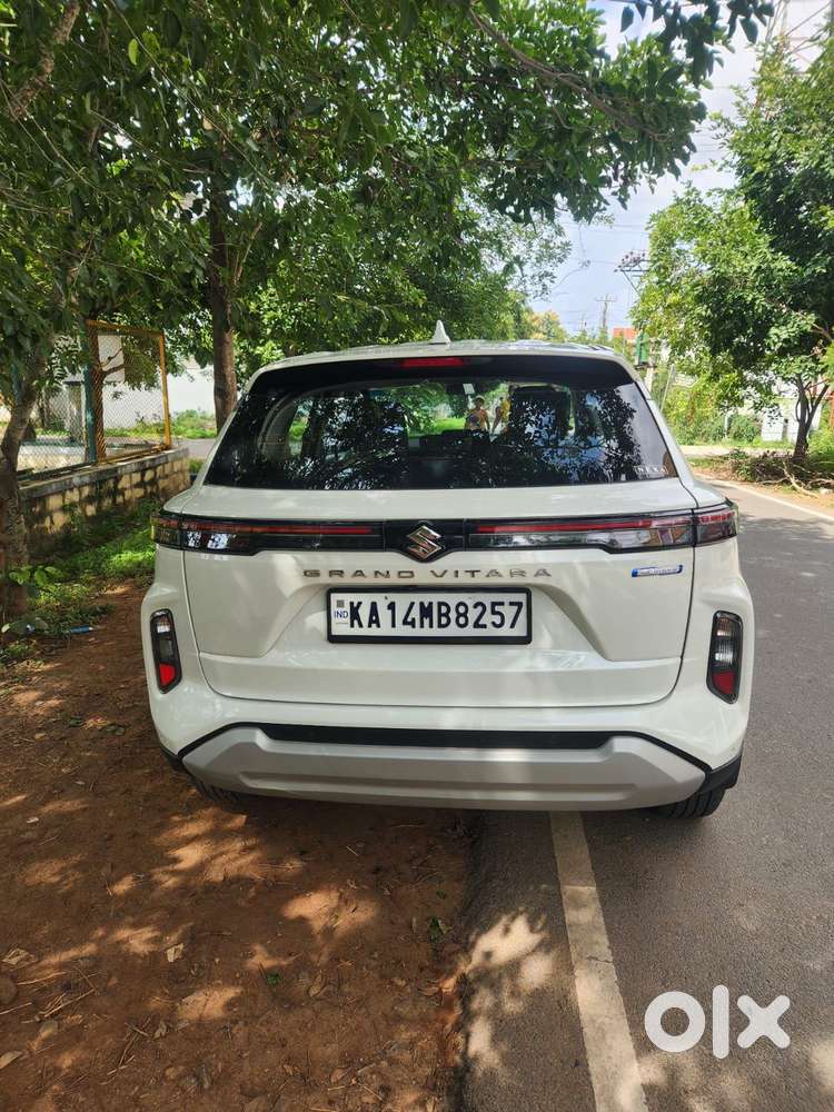 Maruti Suzuki Grand Vitara 1.5 Delta Smart Hybrid, 2023, Petrol