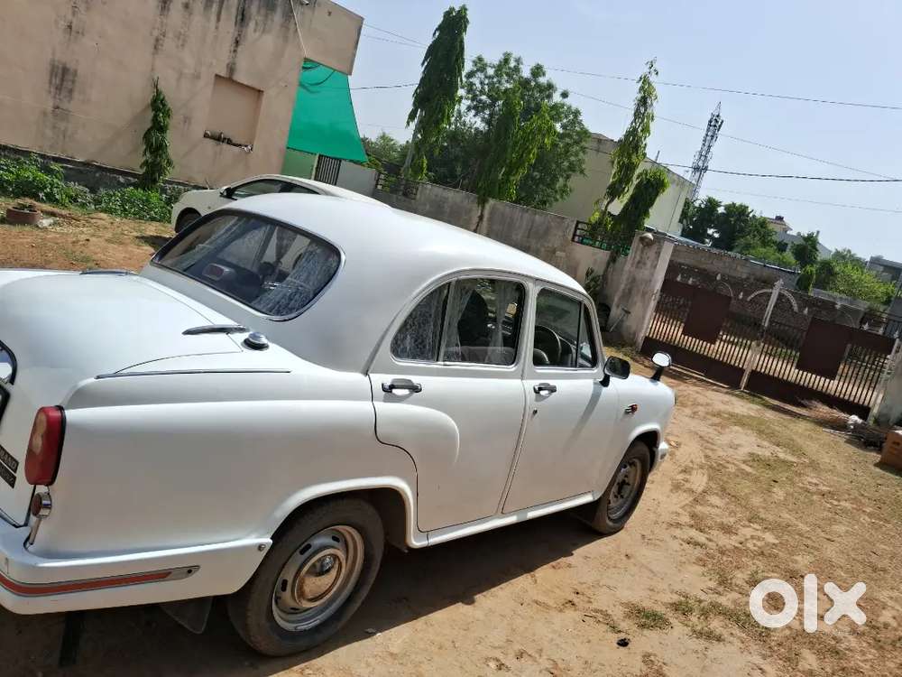 Ambassador 2013 Modal  Ac