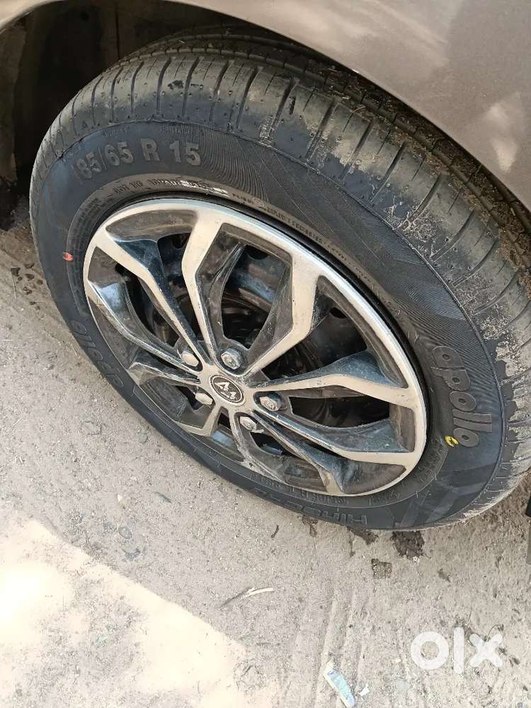 Regular Sarvice