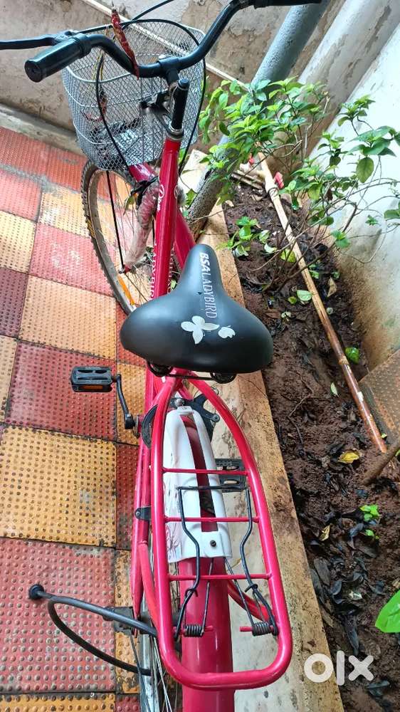New lady Bird cycle Bicycles 1824800163