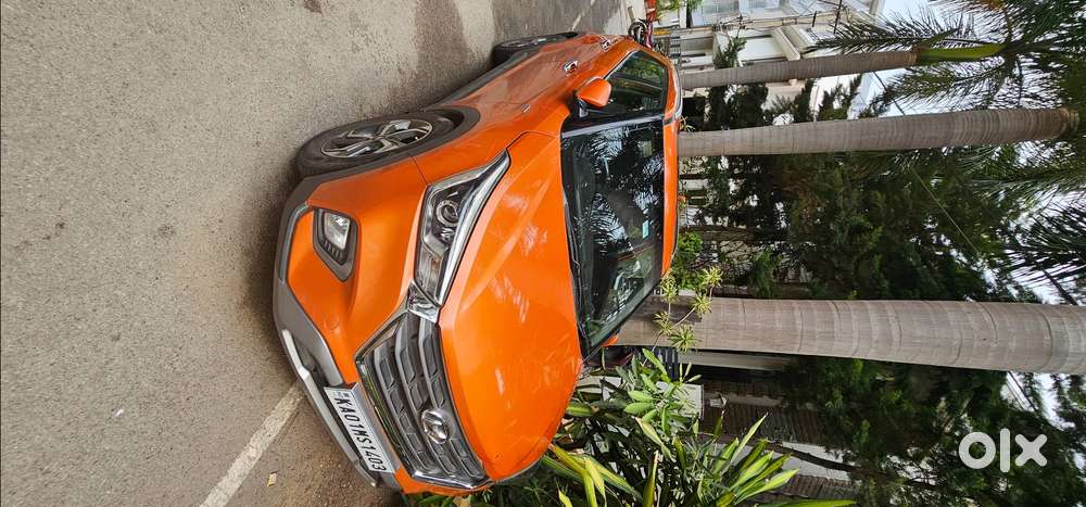 Orange Colored