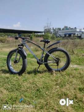 Wali in Selaqui Free classifieds in Selaqui OLX