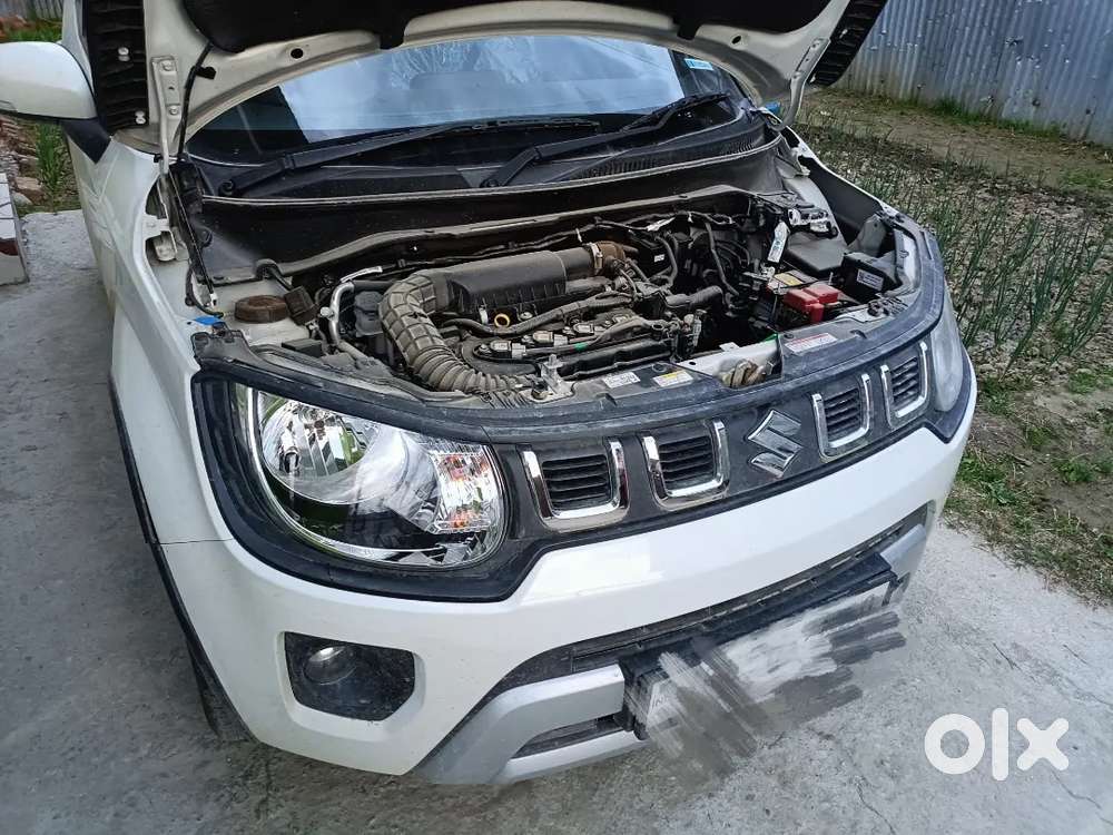 Maruti Suzuki Ignis 2023 Well Maintained