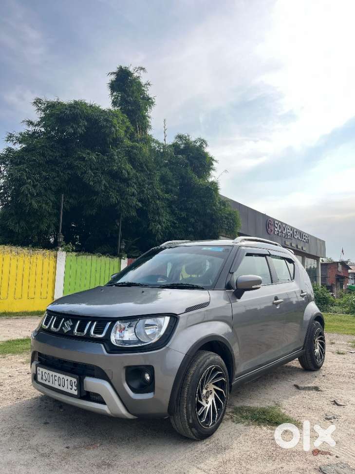 Maruti Suzuki Ignis 1.2 Delta Mt, 2023, Petrol