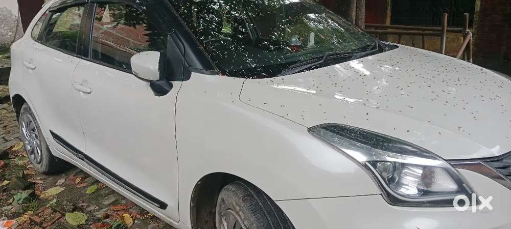Maruti Baleno 2021 Year Car