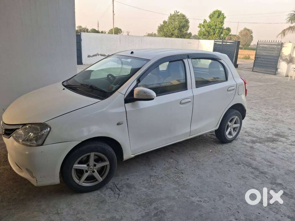 Litter Bumber Damaged