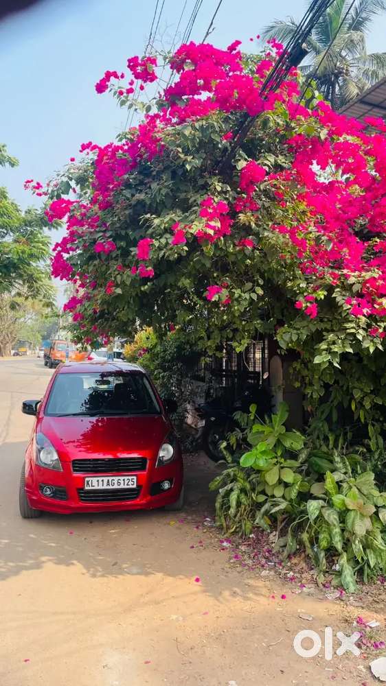 Maruti Suzuki Ritz 2010